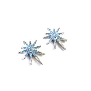 🦋LAST 1🦋 NWT Lovoda Carina Blue Crystal and Silver Star Statement Studs